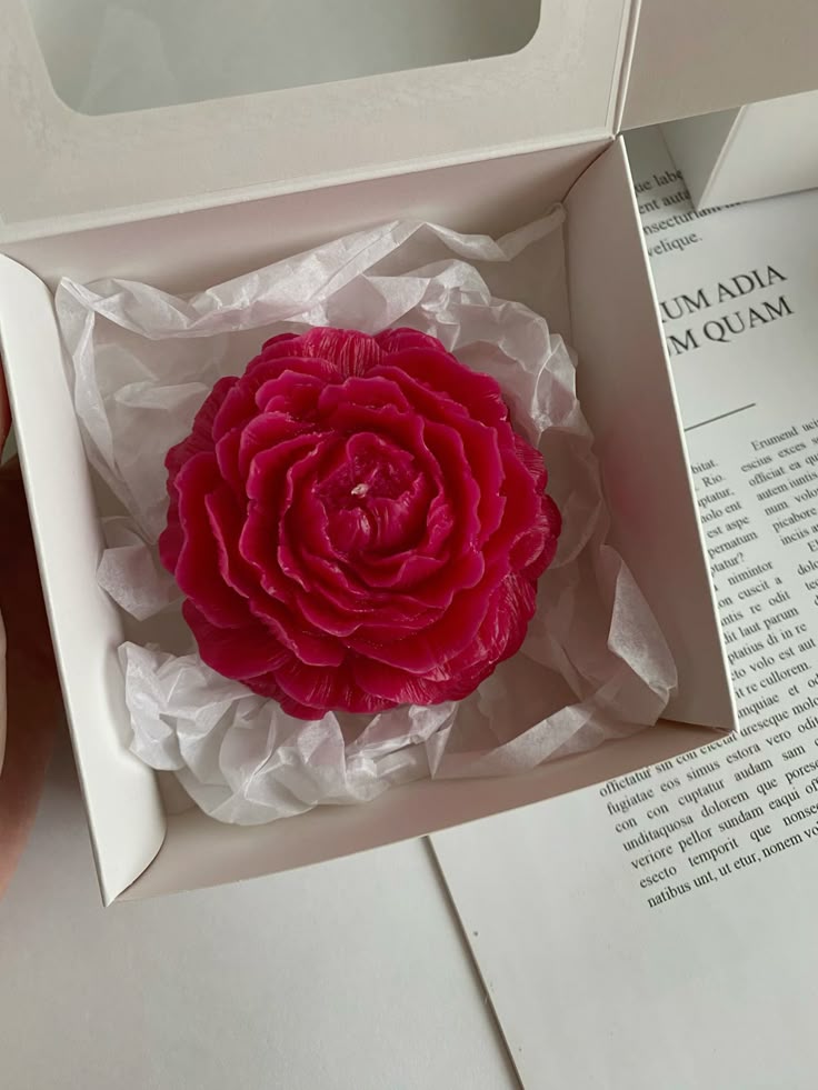 Cup Cake